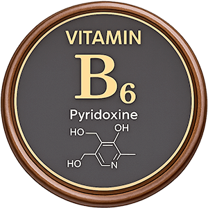 B6